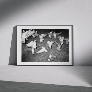 The E I G E N G R A U Collector’s Edition Print (A)