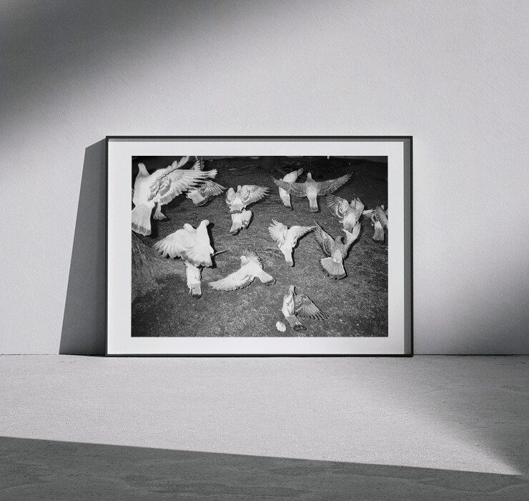 The E I G E N G R A U Collector’s Edition Print (A)